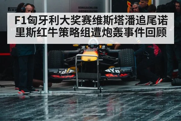 F1匈牙利大奖赛维斯塔潘追尾诺里斯红牛策略组遭炮轰事件回顾
