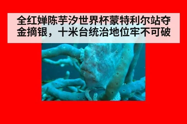 全红婵陈芋汐世界杯蒙特利尔站夺金摘银，十米台统治地位牢不可破